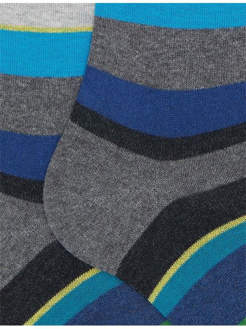 AP10341332646 FANTASIA gallo | AP10341332646 FANTASIA